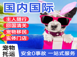 宁蒗泸沽湖机场货运国际宠物托运 【国